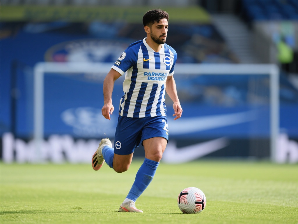 严密的区域 严密的区域